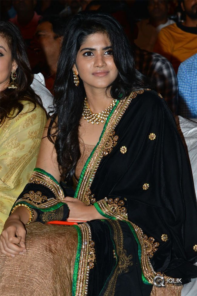 Chal-Mohan-Ranga-Pre-Release-Function-Photos